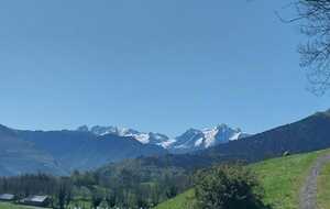 680bb358358e2_IMG20250425WA0006.jpg