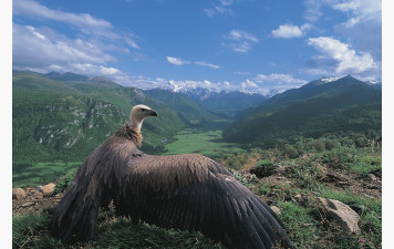 RANDO ROBERT du 18/12/25 AUTOUR DES VILLAGES SOUS LE REPAIRE DES VAUTOURS