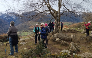 Marche Nordique du 28/11 au Plateau du Benou