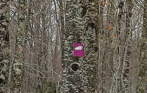 GOURETTE EN RAQUETTES LE 8 JANVIER 2026