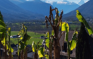 Marche nordique du 13/03 à Bescat