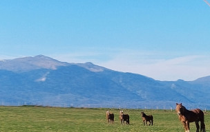 Marche Nordique du 20/03 Bescat