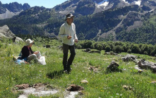 Les cabanes du Col Long d'Ayous