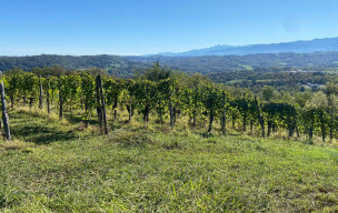 Rando "Robert" du côté de Gan et ses vignobles - (encadrement Patrice)