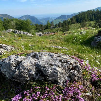 RANDO PIC DES TOURELLES  A/R - BMVO -