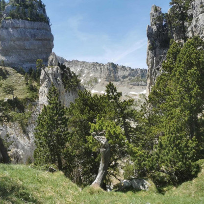 RANDO PIC DES TOURELLES  A/R - BMVO -