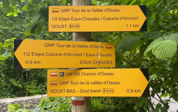 RANDO DU 26 JUIN - EAUX-CHAUDES- GOUST-LARUNS (Robert)