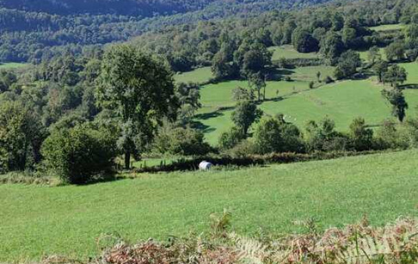 Chemin de St-Jacques -(Mifaget-Arudy) avec Robert -