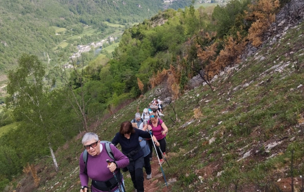 Marche Nordique du 24/04 à Louvie Soubiron