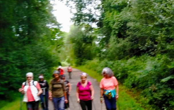Marche Nordique du 5/05 à Sevignacq Meyrac