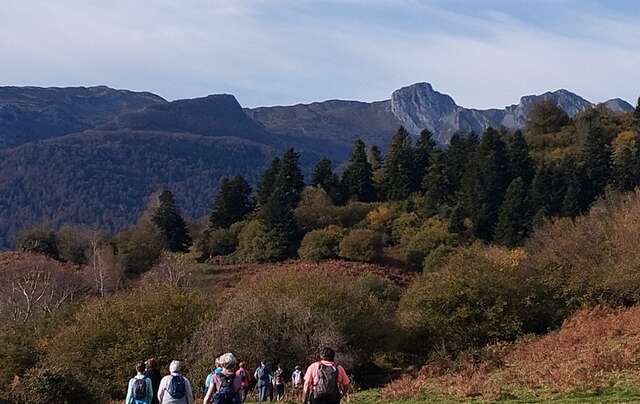 Marche Nordique du 8/11 plateau du Benou 