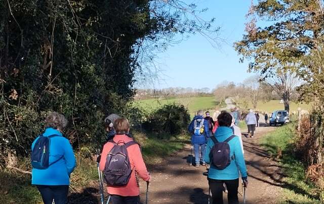 Marche Nordique du 15/11 à Bescat 